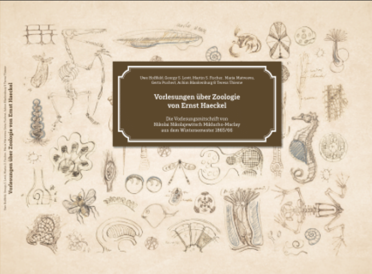 Cover: Vorlesungen über Zoologie von Ernst Haeckel